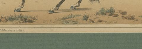 Spanish Cavalry Lithograph by José Rubio y Villegas: Mounted Lancer, 1861, close-up 2