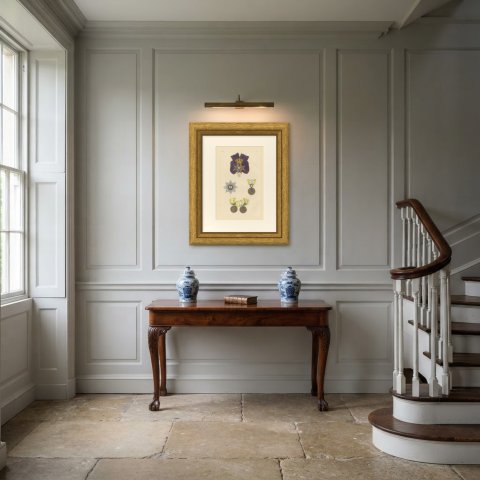 Hanover, King's German Legion Medal, Plate XL, Wood Engraving, 1844, shown framed in a room