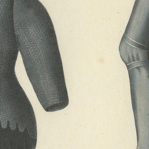 19th-Century Hand-Coloured Lithograph of Chainmail Hauberk and Plate Leg Armor, close-up 4