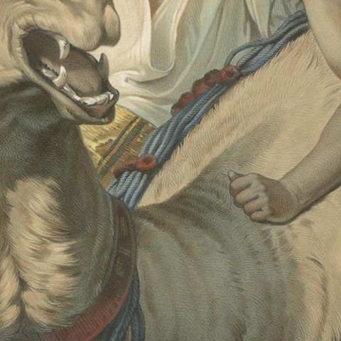 Print of a Bedouin with a Camel during the Battle of the Smala, circa 1845, close-up 2