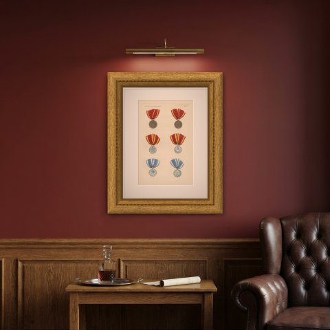 Lippe Medals for Military Merit and Bravery, Plate XLVI, Wood Engraving, 1844, shown framed on a wall