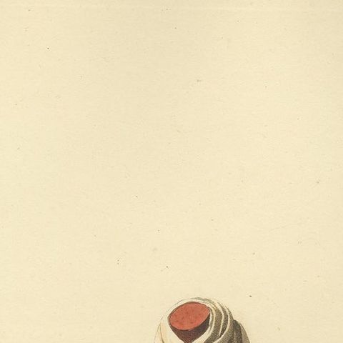 Antique Print Mameluke of Constantinople, The Military Costume of Turkey, 1818, close-up 1