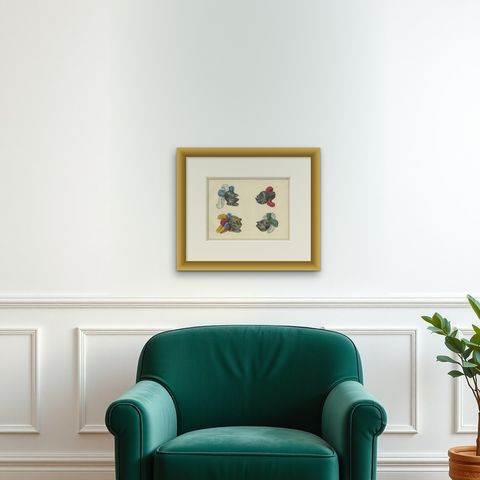 19th-Century Hand-Coloured Lithograph of Knightly Helmets with Vibrant Plumes, shown framed on a wall