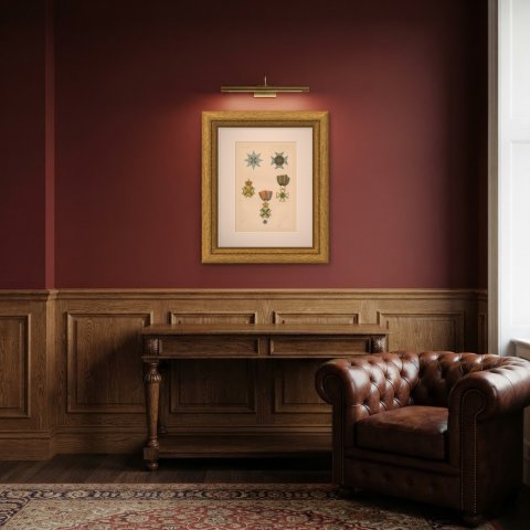 Orders of the Netherlands, Military William Order, Plate LII, 1844, shown framed in a room