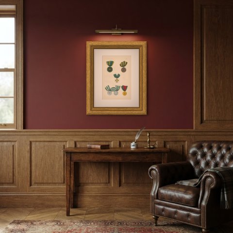 Saxony Ernestine Line, Defender of the Fatherland Medals, Plate LXXVI, 1844, shown framed in a room