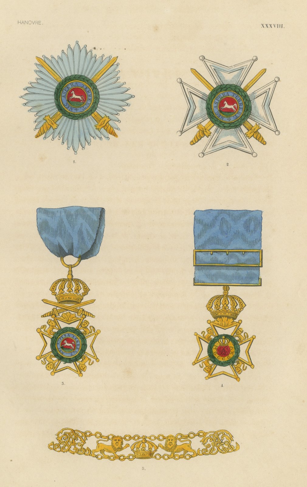 Hanover, Royal Guelphic Order Insignia, Plate XXXVIII, Wood Engraving, 1844