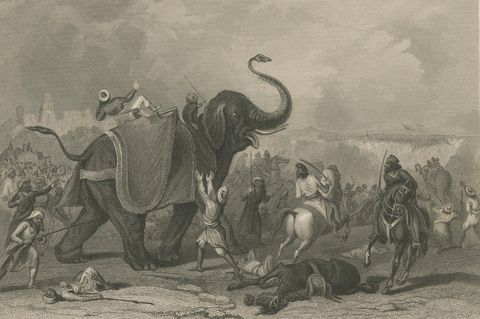 Antique India Battle Print, Siege of Mooltan 1849, Elephant War Scene, close-up 2