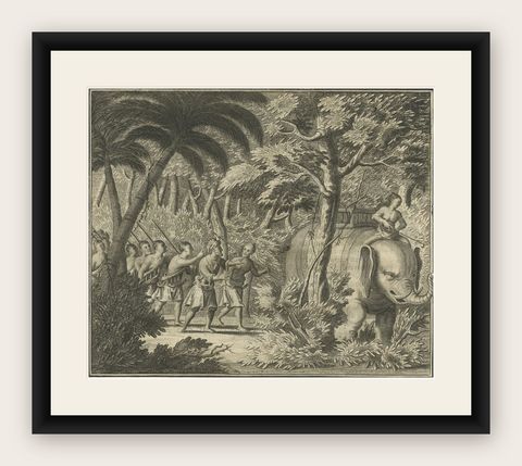 Antique Print of an Army in the Woods., Riding an Elephant in Ceylon, 1726, shown framed