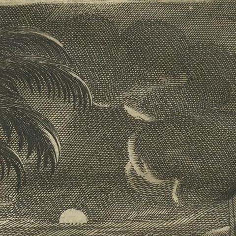Antique Print of Dutch Guards and a Tiger by Valentijn, 1726, close-up 1