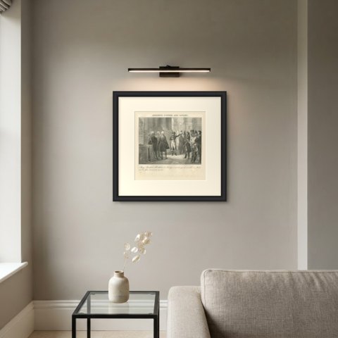 Audience to the Savants, Monge and Berthollet, Antique Madou Lithograph, 1827, shown framed on a wall