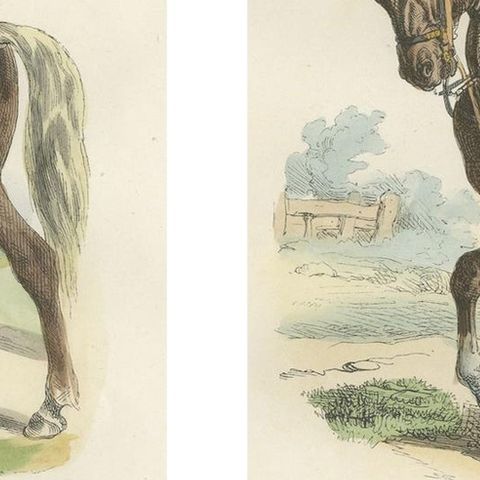 Napoleon Bonaparte Imperial Guard Cavalry Prints by Horace Vernet, 1843, close-up 4