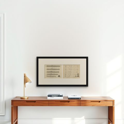 Antique 18th Century Engraving of Cannon Designs and Cross-Sections from Diderot, shown framed on a wall