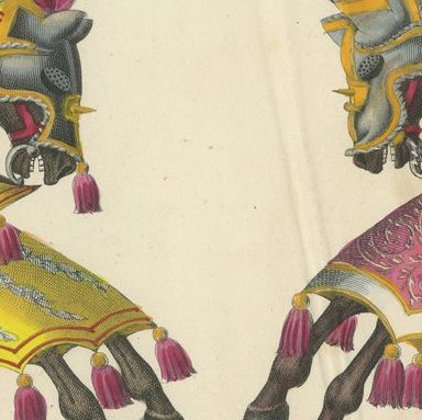 Magnificent Jousting Tournament Print with Handcoloured Knights and Horses, 1842, close-up 6
