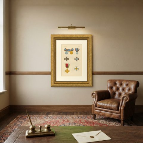 Orders of Mecklenburg, Medals and Service Crosses, Plate XLVIII, 1844, shown framed on a wall