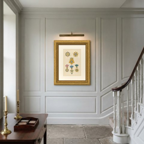 Orders of Brazil, Order of the Rose and Southern Cross, Plate XVI, 1844, shown framed on a wall