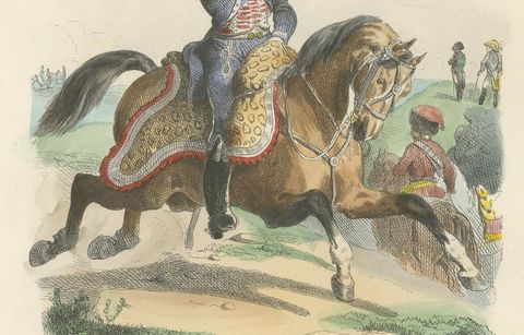 Officer d’Ordonnance de l’Empereur, French Imperial Guard Cavalry Print, 1843, close-up 2