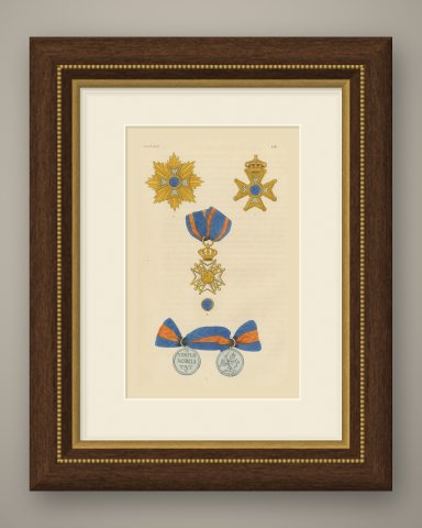 Orders of the Netherlands, Order of the Netherlands Lion, Plate LIII, 1844, shown framed