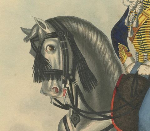 2nd Cavalry Regiment (the Queen's Hussars) of the King's German Legion, 1828, close-up 2