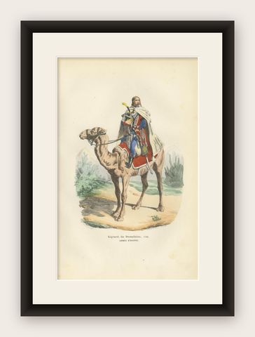 French Dromedary Regiment 1798, Napoleon Egypt Campaign Military Print, 1843, shown framed