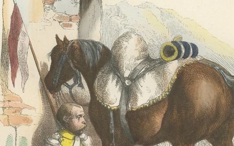 Polish Chevau-Léger of the Imperial Guard, Napoleonic Cavalry Print, 1843, close-up 2