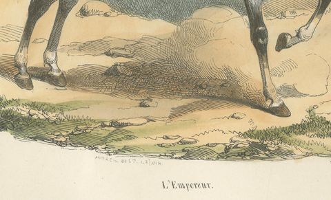Napoleon Bonaparte on Horseback, L’Empereur, French Hand-Colored Print, 1843, close-up 1