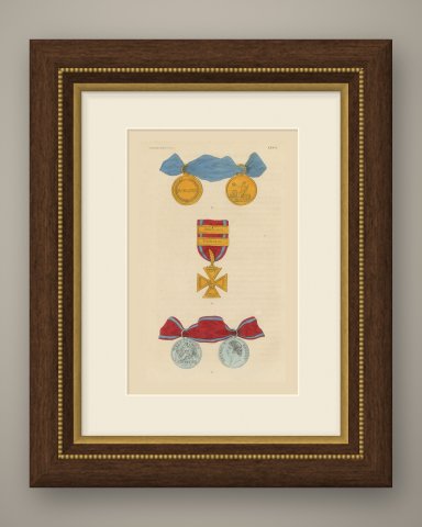 Great Britain, Waterloo and Peninsula Medals, Plate XXXVI, Wood Engraving, 1844, shown framed
