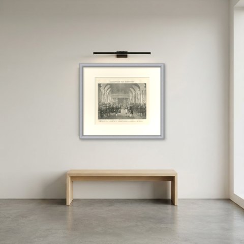 Bonaparte Received by the Institut de France, Antique Madou Lithograph, 1827, shown framed in a room