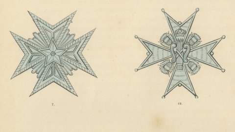Sweden, Orders of the Polar Star and of Vasa, Plate LXXX, Wood Engraving, 1844, close-up 1