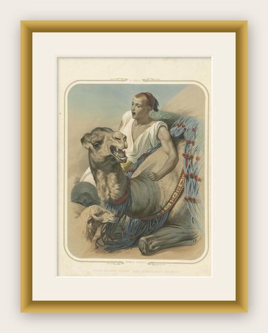 Print of a Bedouin with a Camel during the Battle of the Smala, circa 1845, shown framed