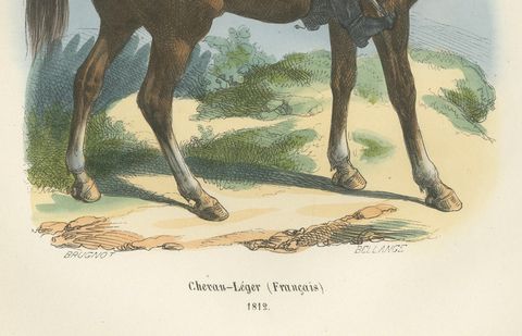 Chevau-Léger Français, Napoleonic Guard Cavalry Officer on Horseback, 1843, close-up 1