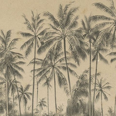 Antique Print Depicting a Military Scene with Canons, in Indonesia, 1784, close-up 2