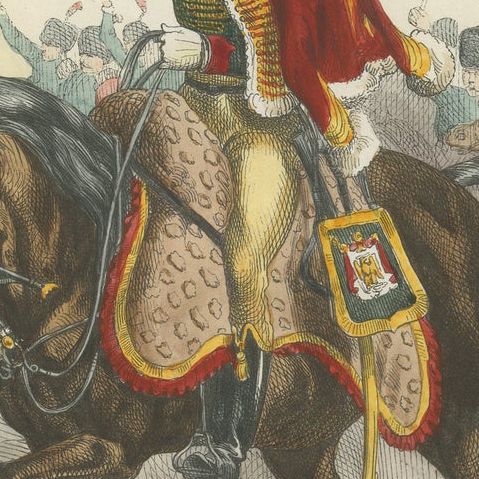 Officier de Chasseurs à Cheval, Garde Impériale, Napoleonic Cavalry Print 1843, close-up 3