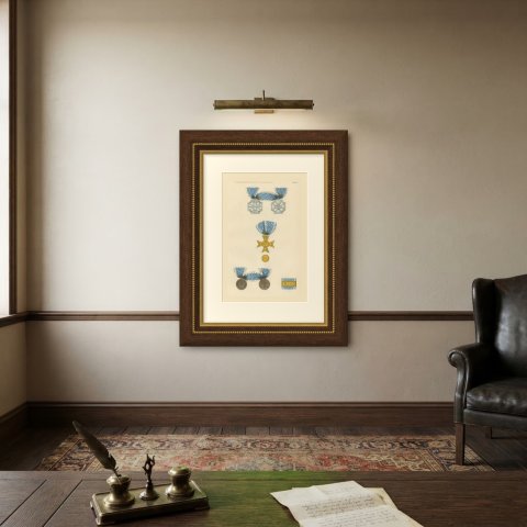 Schwarzburg, War of Liberation Cross and Medals, Plate LXXVIII, 1844, shown framed on a wall