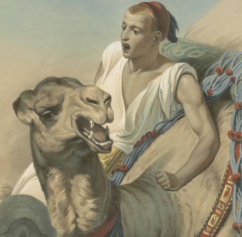Print of a Bedouin with a Camel during the Battle of the Smala, circa 1845, view 3