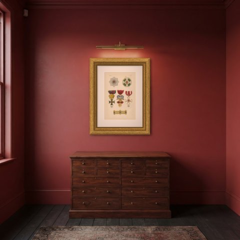 Orders of Austria, Golden Fleece and Saint Stephen, Plate III, 1844, shown framed in a room