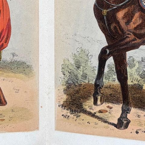 L’Armée, La Garde Impériale, Antique Concertina of 20 Military Plates, 1856, close-up 2