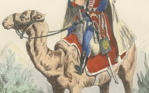 French Dromedary Regiment 1798, Napoleon Egypt Campaign Military Print, 1843, close-up 2