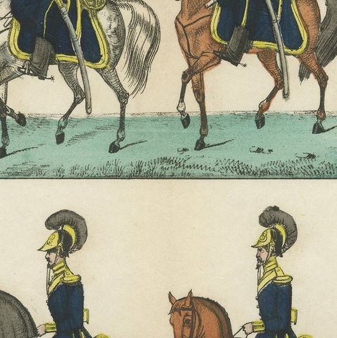 Royal Swedish Dragoon Corps, Cavalry Uniforms, Stockholm, c.1800, close-up 4