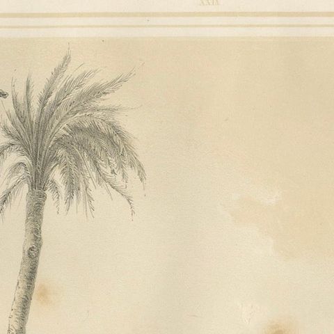 Antique Egyptian Regular Cavalry on the Nile from Maximilian in Bavaria, 1846, close-up 3