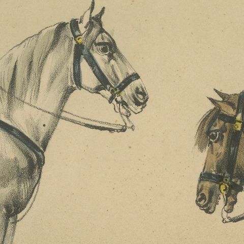 Spanish Cavalry Lithograph by José Villegas: Officers with Sabres, 1861, close-up 4