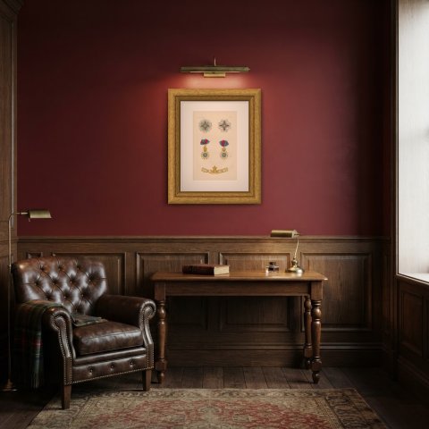 Great Britain, St Michael and St George Order, Plate XXXV, Wood Engraving, 1844, shown framed in a room