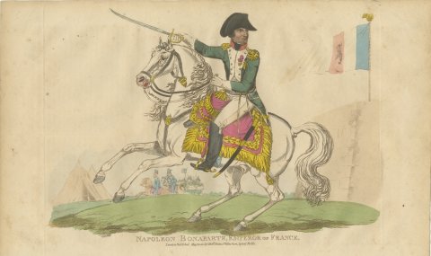 Napoleon Bonaparte on a White Charger Before the Tricolor Flag, 1815, view 2