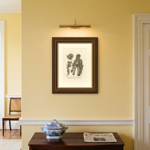 Armor of Charles the Fifth, Morion and Chanfron, Antique Print, 1851, shown framed on a wall