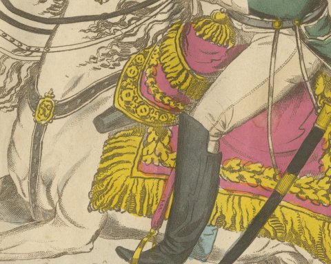 Napoleon Bonaparte on a White Charger Before the Tricolor Flag, 1815, close-up 2
