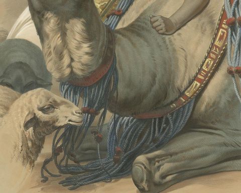 Print of a Bedouin with a Camel during the Battle of the Smala, circa 1845, view 4