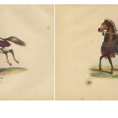 Japanese Cavalryman and General from 1844 in Wahlen's Historical Lithograph, close-up 3