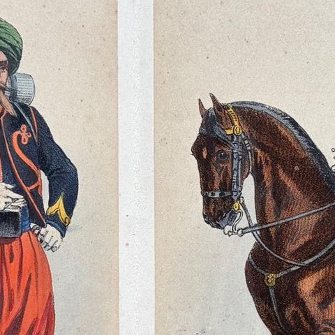 L’Armée, La Garde Impériale, Antique Concertina of 20 Military Plates, 1856, close-up 1