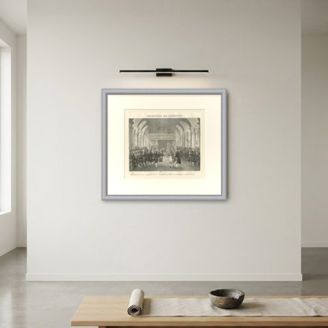 Bonaparte Received by the Institut de France, Antique Madou Lithograph, 1827, shown framed on a wall