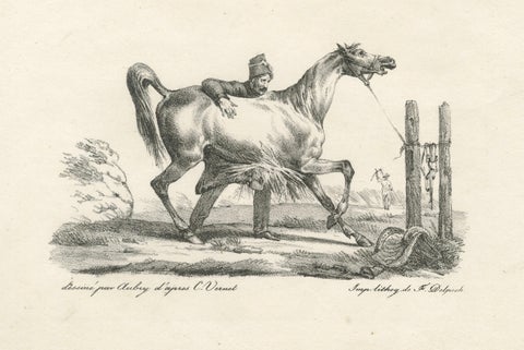 Antique Arabian Horse & Cavalry Lithograph after Carle Vernet, c.1825, close-up 3